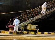 PT IMIP Klarifikasi Informasi Hoax Virus Cacar Monyet