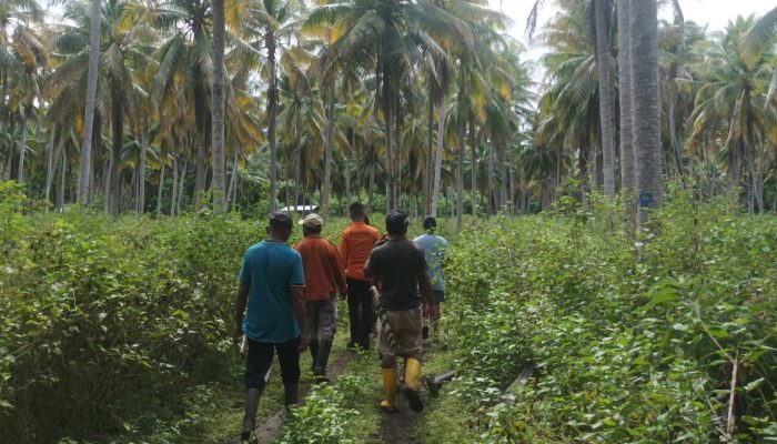 Warga Salipi Dilaporkan Hilang saat ke Kebun, Pencarian Tim SAR Gabungan Masih Nihil