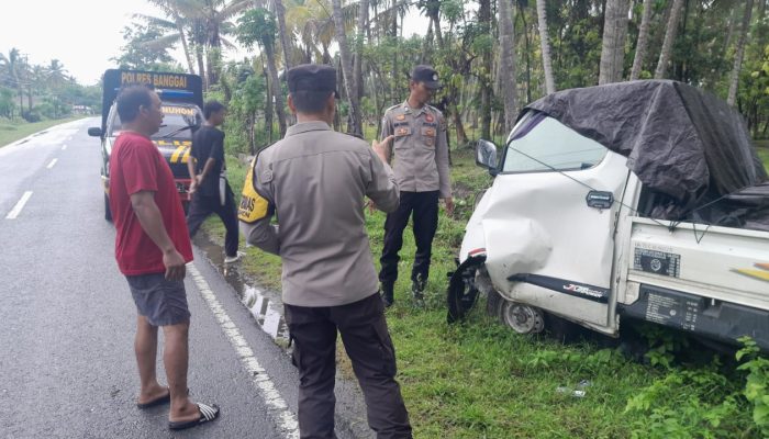IRT Mabuk saat Berkendara, Mobil Pick Up Tabrak Pohon Kelapa di Nuhon